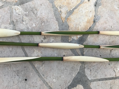 Gestreifter Bambus (white/green) 2 Stck 50cm