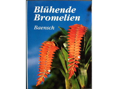 Blhende Bromelien v. Ulrich Baensch