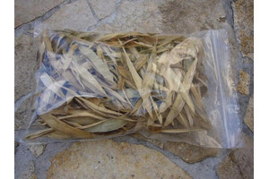 Bambuslaub zur Dekoration ca. 2-3 Liter